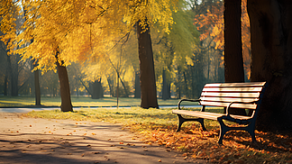 校花不着寸缕的跪趴在地下视频的魅力所在