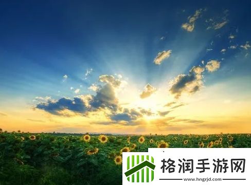 王者荣耀所有女角色无布料无爱心