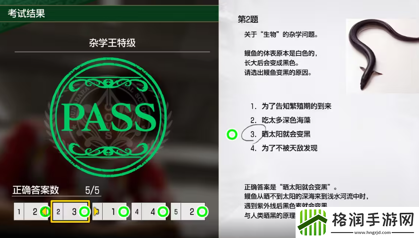 如龙8考试答案一览