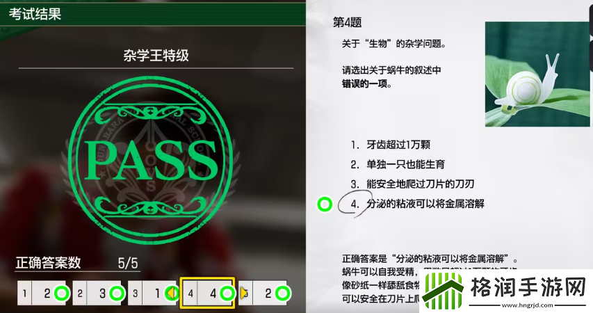 如龙8考试答案一览