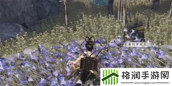 燕云十六声纸人夭奇遇完成攻略