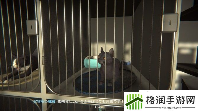 猫咪探险冒牌猫谜Steam试玩发布