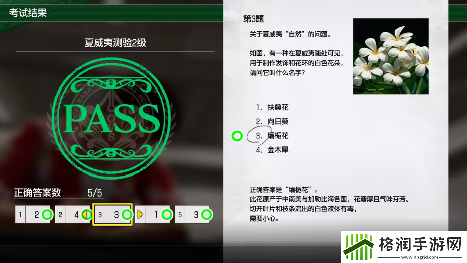 如龙8考试答案一览