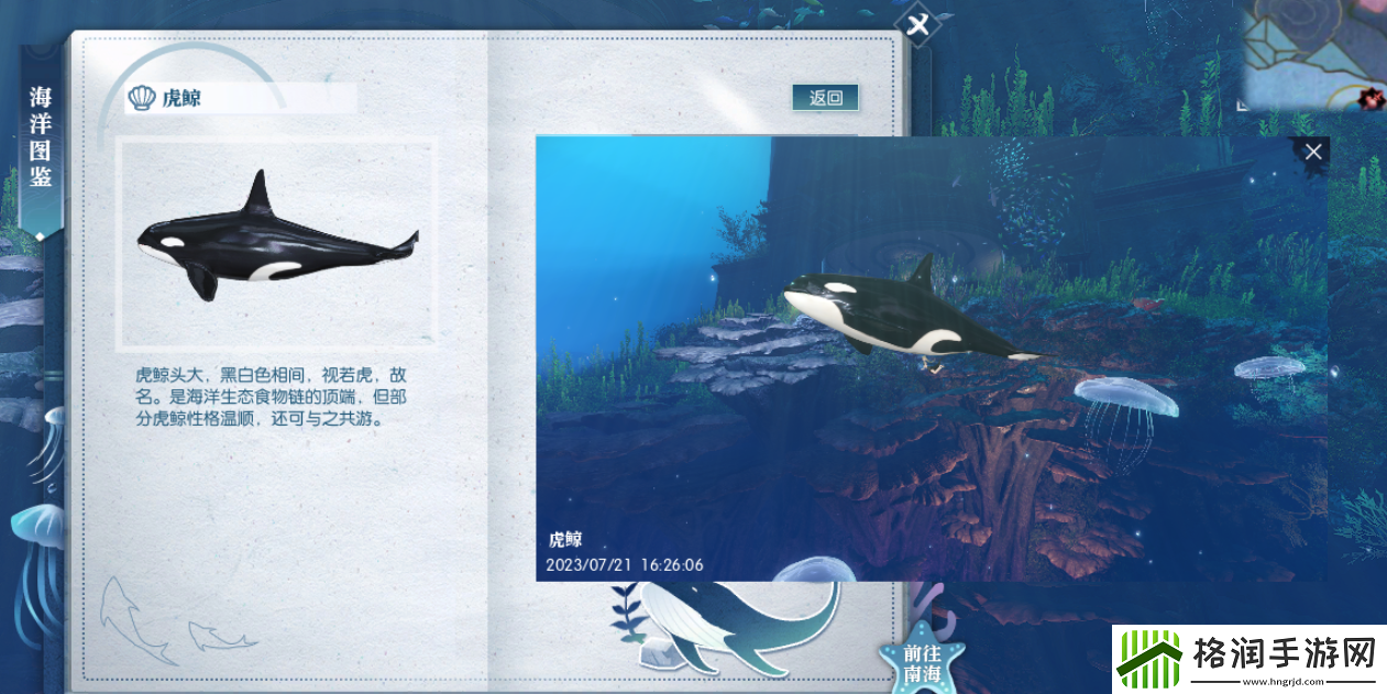 逆水寒虎鲸位置介绍