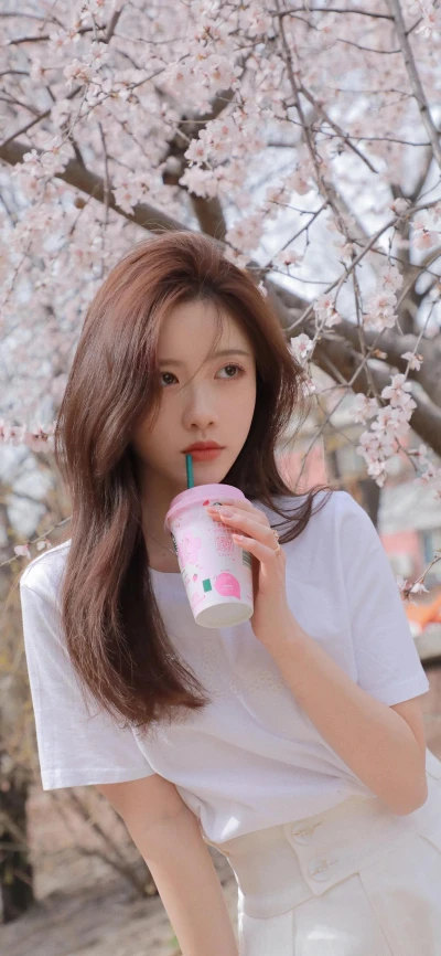 张雨欣人文艺术欣赏ppt新内容火出圈