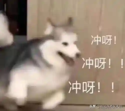王者高段位阵容搭配图标