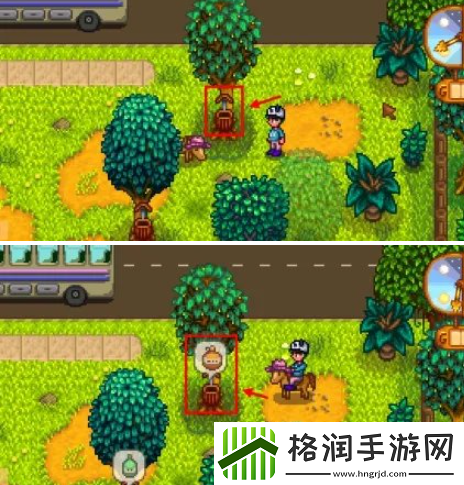 星露谷物语熊的知识怎么获得