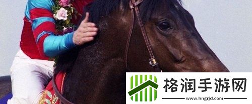 老婆马“没了”赛马娘原型冠军马去世