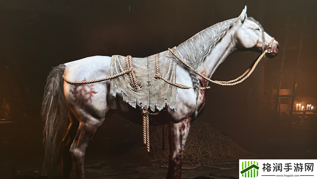 暗黑破坏神4花瓣特效获取方法