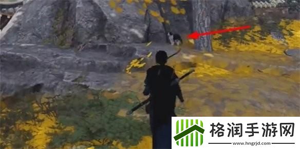 燕云十六声喵老大难当任务怎么完成