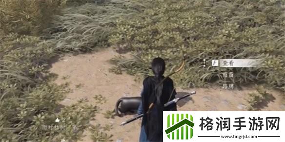 燕云十六声喵老大难当任务怎么完成