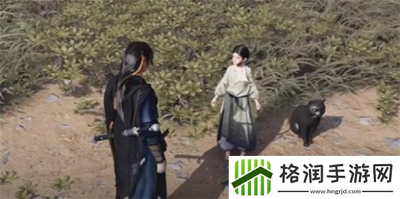 燕云十六声喵老大难当任务怎么完成