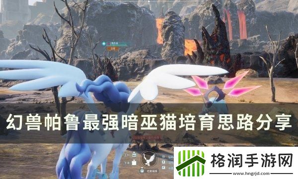 幻兽帕鲁最强暗巫猫怎么培育