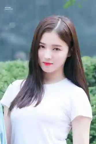 猎豹结盟最强捕猎阵容搭配