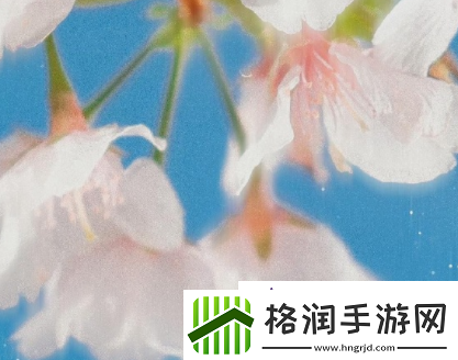 女生呵啊呵啊呵啊叫什么歌