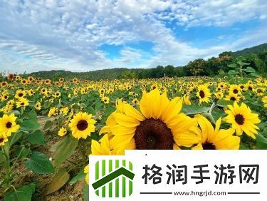 想要慢慢慢慢把你填满什么歌