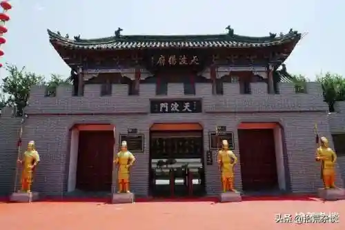 帝皇怎么搭配阵容最好用