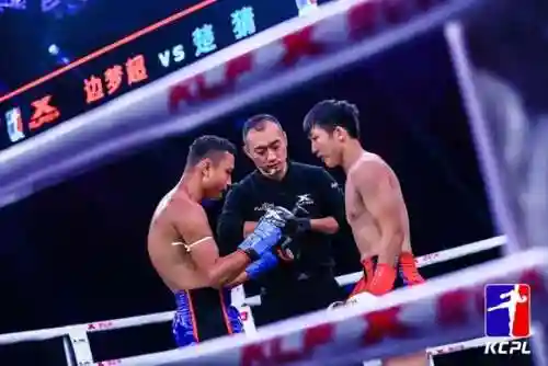 游戏北境之王阵容搭配