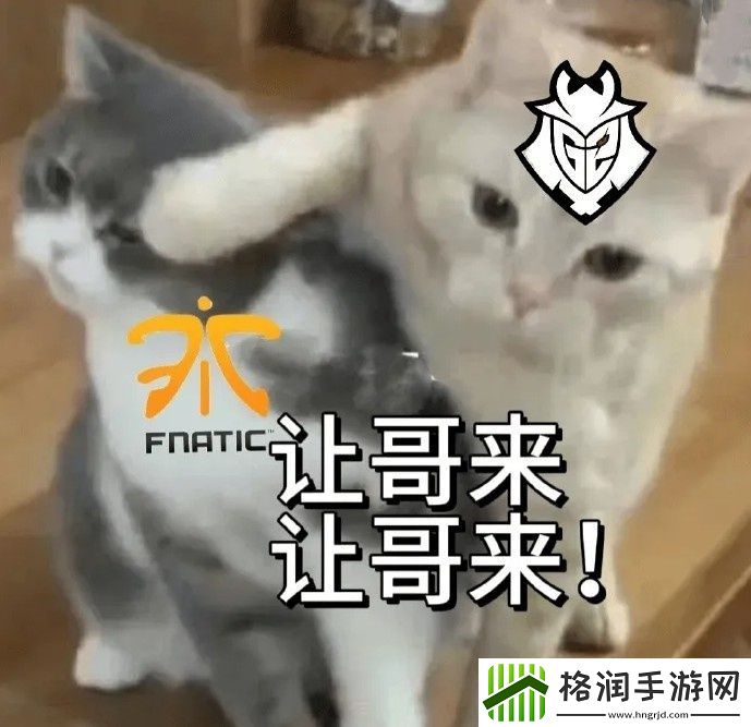 装起来了G2整活