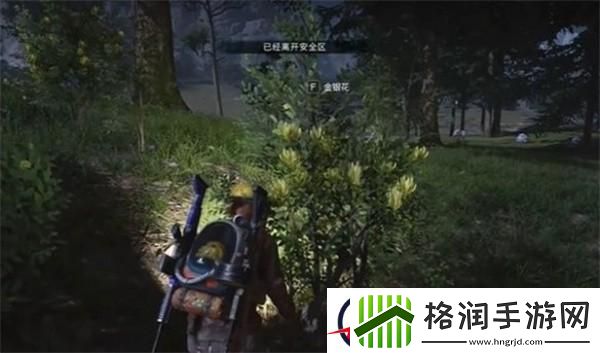 七日世界金银花位置在哪