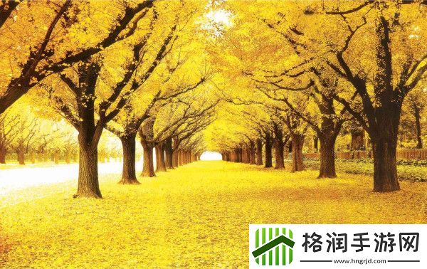 狼人德鲁伊与暗夜德鲁伊