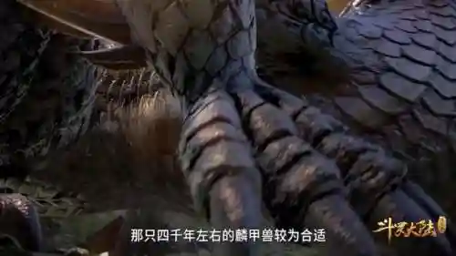 新武魂权杖阵容搭配推荐