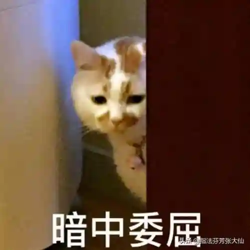 法师天敌阵容装备搭配