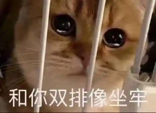 永劫无间队友阵容搭配表