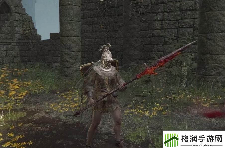 【艾尔登法环攻略】艾尔登法环职业