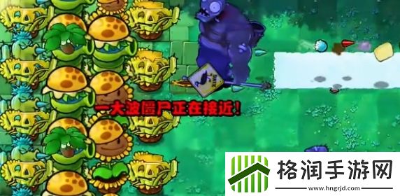 植物大战僵尸杂交版挑战模式第16关怎么玩