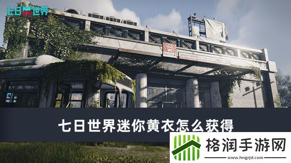 七日世界迷你黄衣怎么获得