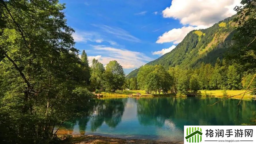 成全视频观看技巧和方法