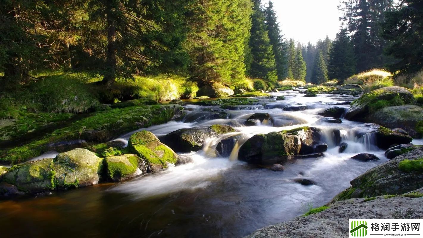 胸一面膜上边一面膜下边日本