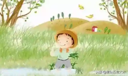 拔草大军的最强阵容搭配