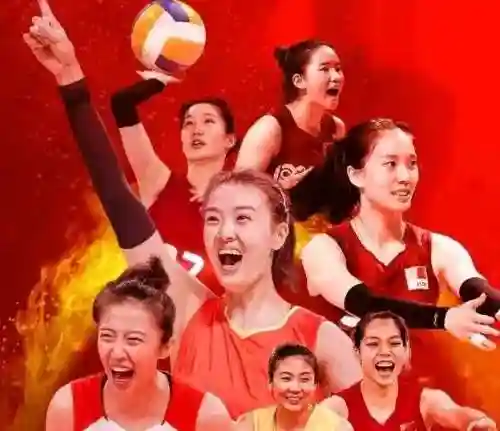 七仙女阵容有谁搭配