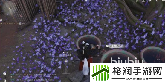 燕云十六声应悔偷灵药任务怎么做