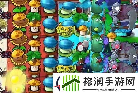 植物大战僵尸杂交版冒险第四十三关怎么过