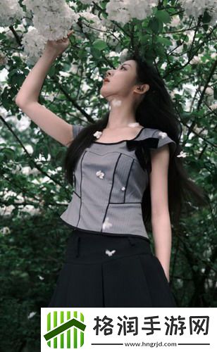 暴躁大妈荒野大镖客k9：带你体验无与伦比的冒险之旅！