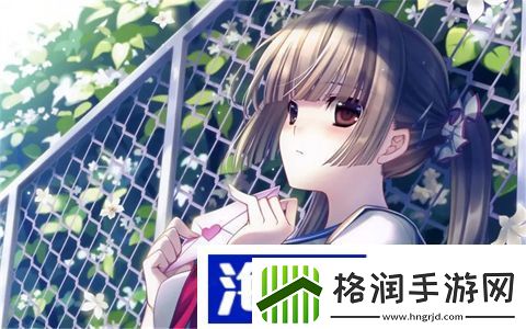 990v6美版和亚洲版区别