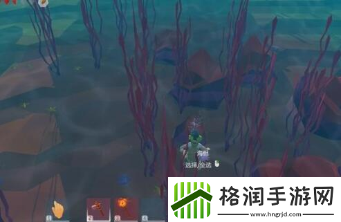 艾兰岛出生岛有哪些动物