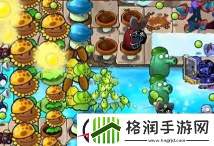 植物大战僵尸杂交版冒险第二十四关怎么过