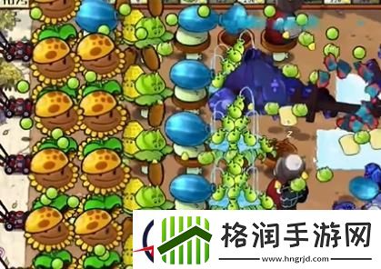 植物大战僵尸杂交版冒险第二十五关怎么过
