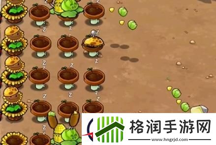 植物大战僵尸杂交版冒险第二十五关怎么过