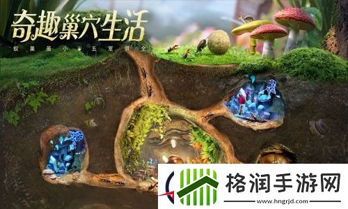 小小蚁国最强阵容2023