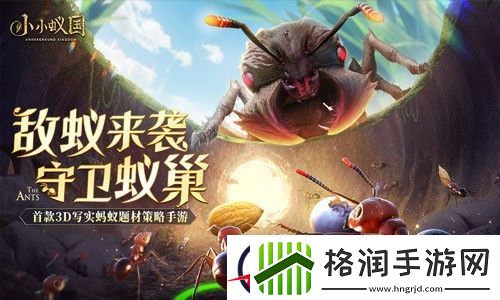 小小蚁国最强阵容2023