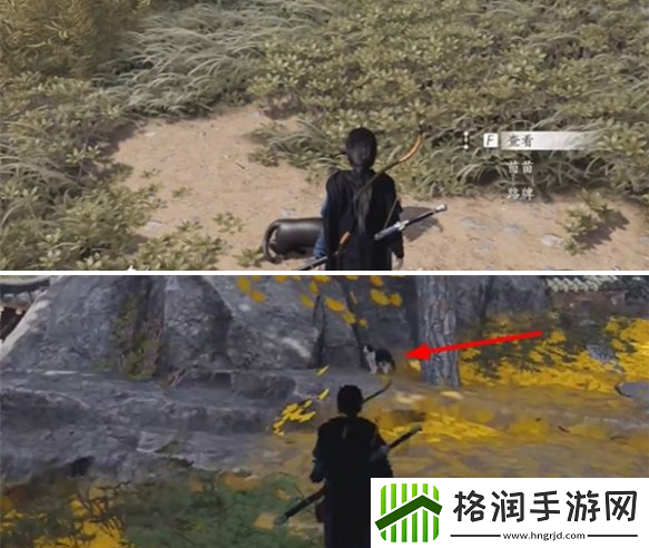 燕云十六声慈心山院喵老大难当任务怎么做