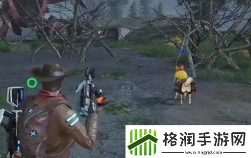 星球重启区域委托不显示怎么办