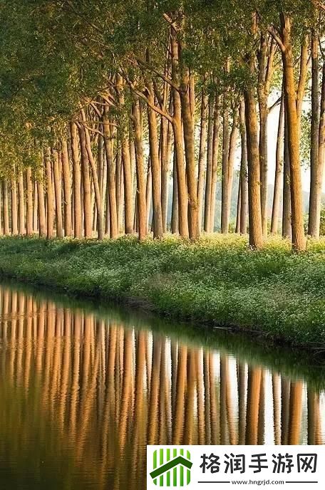 layuiadmin源码免费