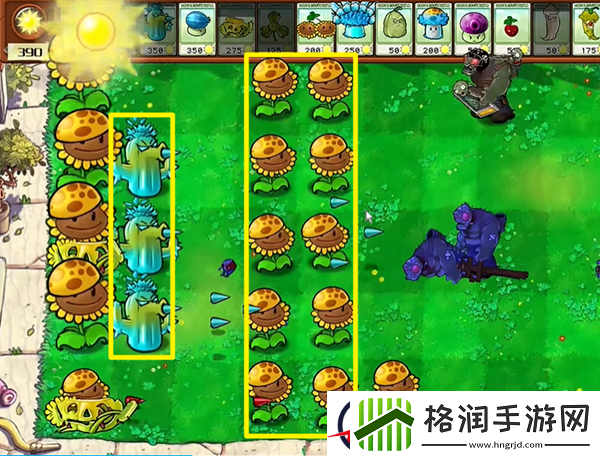 植物大战僵尸杂交版豌豆炮2通关攻略