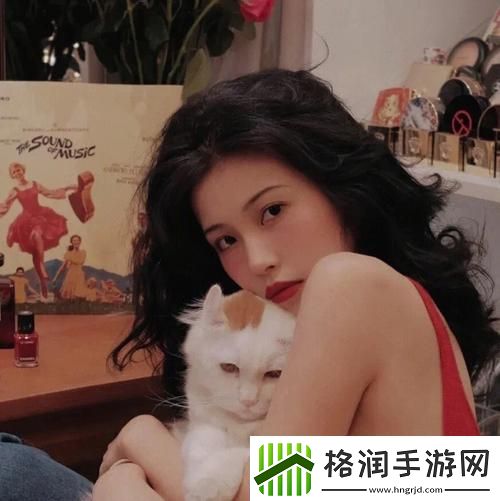 双龙入户的感受